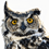 Owl-Betyg